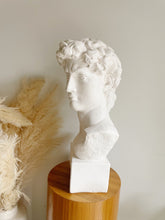 Load image into Gallery viewer, Bust of David
