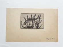 Load image into Gallery viewer, “Striped Bass” Drypoint and Etching by Benson B. Moore