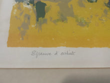 Load image into Gallery viewer, Framed Cityscape by Pierre Bordenave