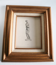 Load image into Gallery viewer, Venus Etching
