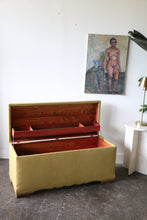 Load image into Gallery viewer, Vintage Lane Upholstered Chest
