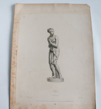 Load image into Gallery viewer, Venus Etching
