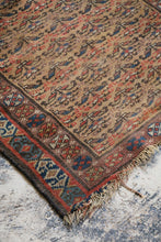 Load image into Gallery viewer, Antique Handknotted Wool Rug|ella
