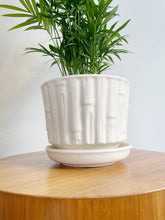 Load image into Gallery viewer, McCoy Bamboo Ceramic Planter

