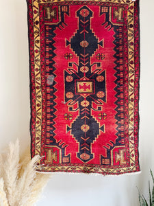 Hand Knotted Wool Rug
