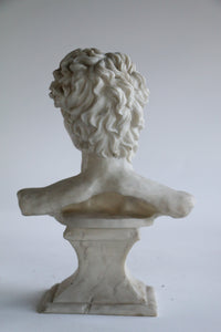 Vintage Bust