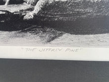 Load image into Gallery viewer, “The Jeffery Pine”
