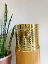 Load image into Gallery viewer, Hammered Brass Lion Head Planter
