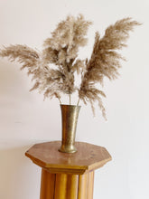 Load image into Gallery viewer, Set of Three Super Fluffy Pampas Grass Stems
