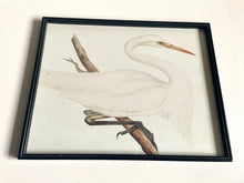 Load image into Gallery viewer, Framed Crane Print
