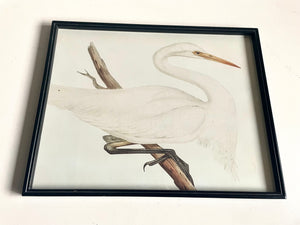 Framed Crane Print