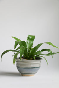 Stoneware Planter