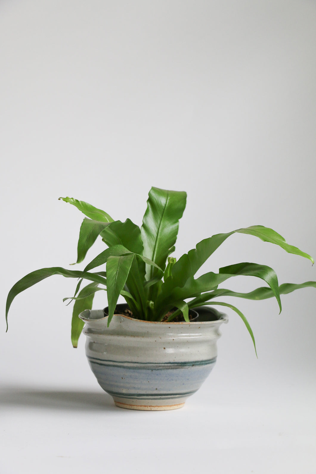 Stoneware Planter