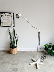 Giraffe Floor Lamp by Goodwin mfg.
