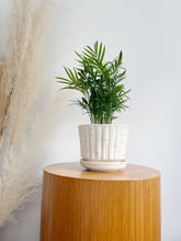 Load image into Gallery viewer, McCoy Bamboo Ceramic Planter
