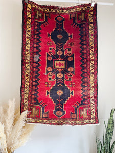 Hand Knotted Wool Rug