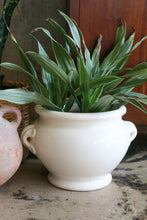 Load image into Gallery viewer, Ceramic Planter
