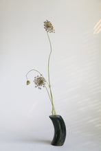 Load image into Gallery viewer, Horn Candle Holder / Vase

