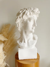 Load image into Gallery viewer, Bust of David
