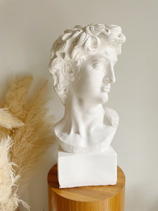 Bust of David