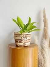 Load image into Gallery viewer, Woven Banana Leaf Planter
