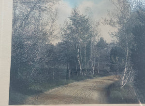 Vintage Landscape Lithograph