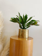 Load image into Gallery viewer, Brass Planter
