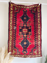 Load image into Gallery viewer, Hand Knotted Wool Rug

