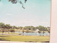 Load image into Gallery viewer, Picture of Byrd Park circa 1970s
