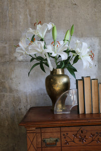 Curved Astronte Lucite Bookends by Ritts Co. Of Los Angeles