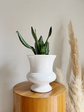 Load image into Gallery viewer, White Resin Planter
