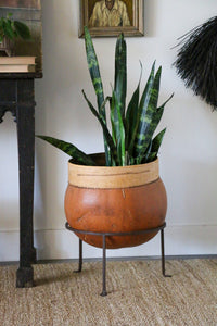 Antique Gourd Calabash Basket with Stand   // Plant Stand