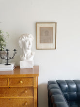 Load image into Gallery viewer, Bust of David
