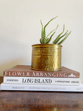 Load image into Gallery viewer, Brass Planter
