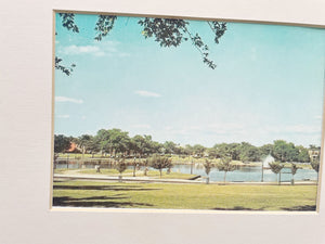 Picture of Byrd Park circa 1970s