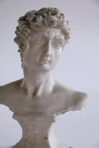 Vintage Bust