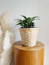Load image into Gallery viewer, Woven Planter Basket
