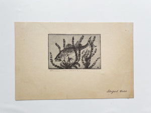 “Striped Bass” Drypoint and Etching by Benson B. Moore