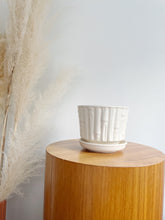 Load image into Gallery viewer, McCoy Bamboo Ceramic Planter
