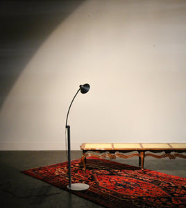 Adjustable Floor / Task Lamp