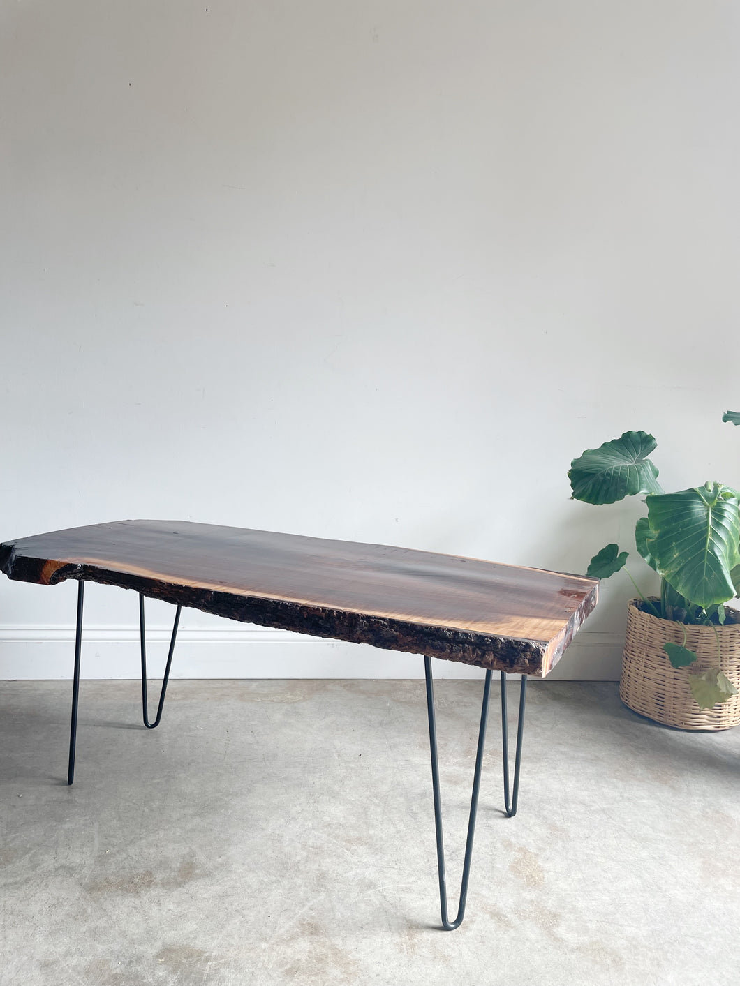 Live Edge Coffee Table // Bench