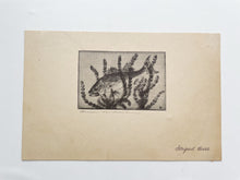 Load image into Gallery viewer, “Striped Bass” Drypoint and Etching by Benson B. Moore
