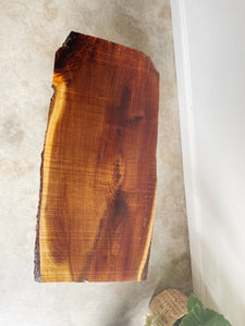 Live Edge Coffee Table // Bench
