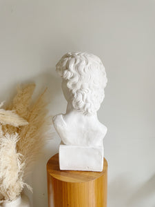 Bust of David