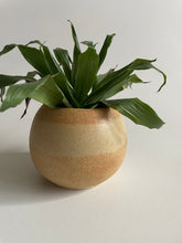 Load image into Gallery viewer, Ceramic Handmade Planter
