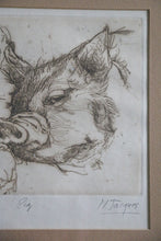 Load image into Gallery viewer, Framed Pig Drawing
