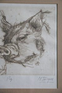 Framed Pig Drawing