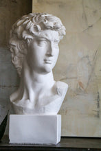 Load image into Gallery viewer, Bust of David
