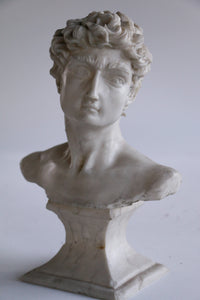 Vintage Bust