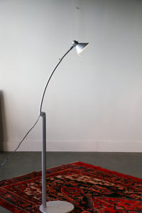 Adjustable Floor / Task Lamp